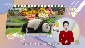 黄色shipin